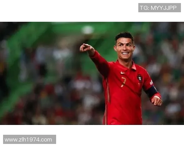 2012年葡萄牙与捷克精彩对决回顾及赛后分析 2012年葡萄牙与捷克精彩对决回顾及赛后分析