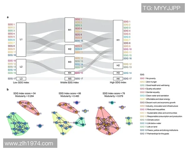 图尔与沙托鲁的较量揭示法乙联赛新动态与球队未来发展方向 图尔与沙托鲁的较量揭示法乙联赛新动态与球队未来发展方向
