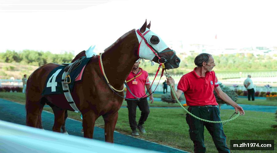 磨砺自我，绽放光芒！